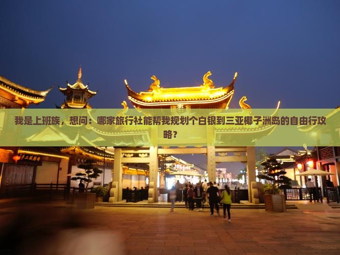 我是上班族，想问：哪家旅行社能帮我规划个白银到三亚椰子洲岛的自由行攻略？