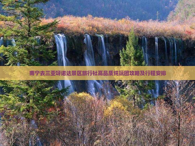 南宁去三亚呀诺达景区旅行社高品质纯玩团攻略及行程安排