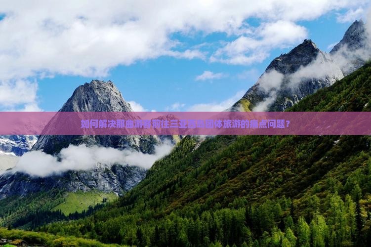 如何解决那曲游客前往三亚西岛团体旅游的痛点问题？