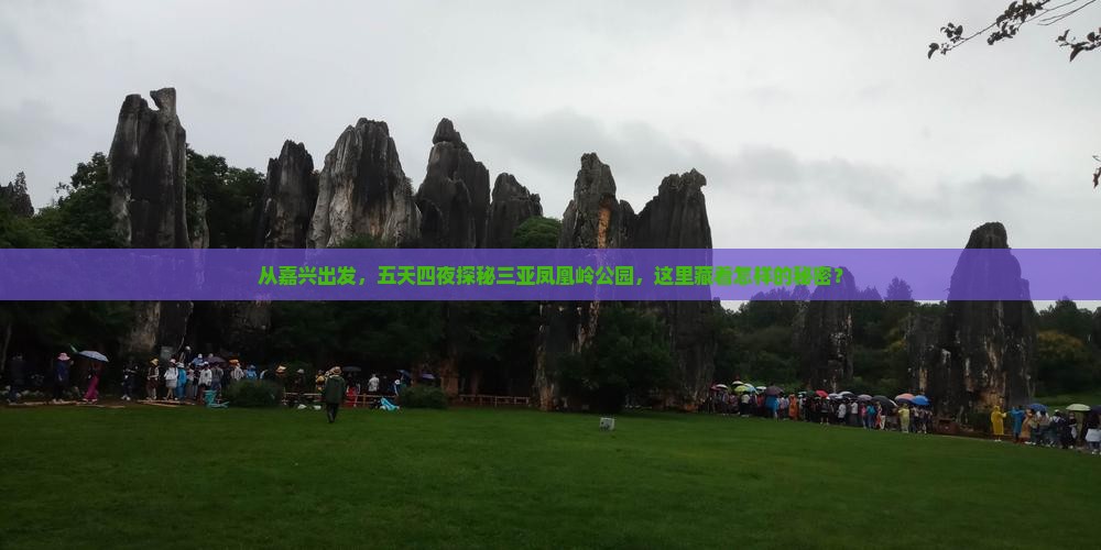 从嘉兴出发，五天四夜探秘三亚凤凰岭公园，这里藏着怎样的秘密？
