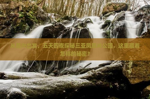 从嘉兴出发，五天四夜探秘三亚凤凰岭公园，这里藏着怎样的秘密？
