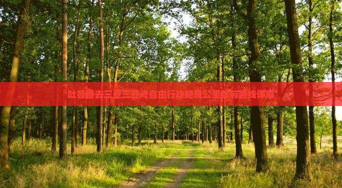 吐鲁番去三亚三亚湾自由行攻略及公里数与路线详解