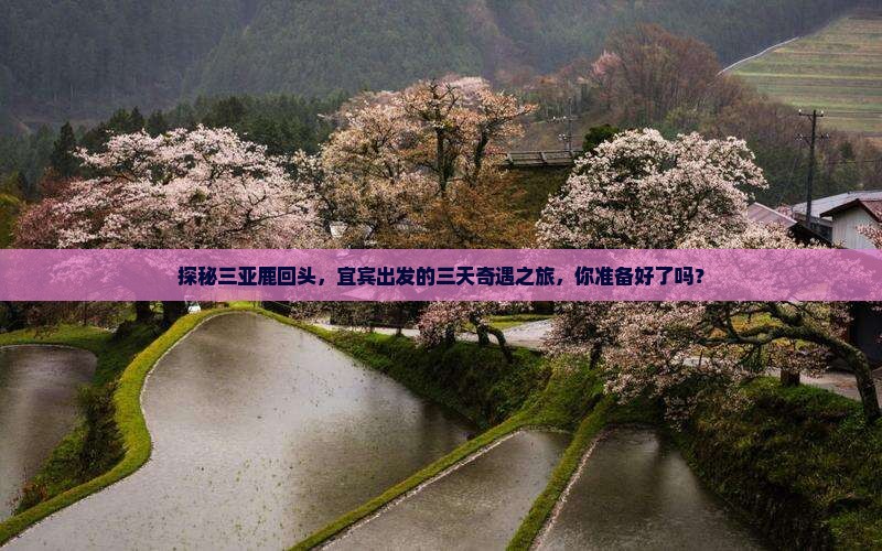 探秘三亚鹿回头，宜宾出发的三天奇遇之旅，你准备好了吗？