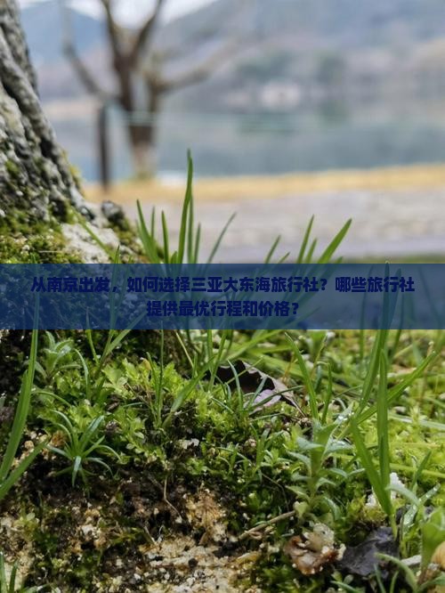 从南京出发，如何选择三亚大东海旅行社？哪些旅行社提供最优行程和价格？