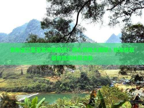 阜新去三亚亚龙湾哪里玩？担心攻略太麻烦？快来获取最新旅游种草清单