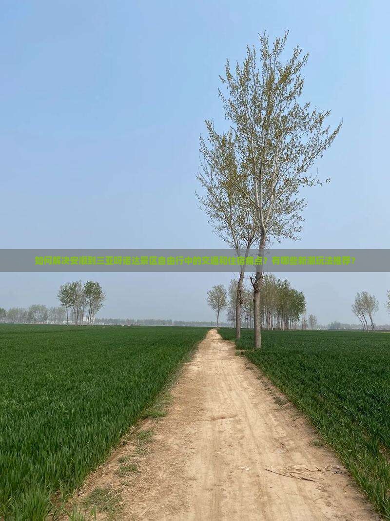 如何解决安顺到三亚呀诺达景区自由行中的交通和住宿痛点？有哪些新潮玩法推荐？
