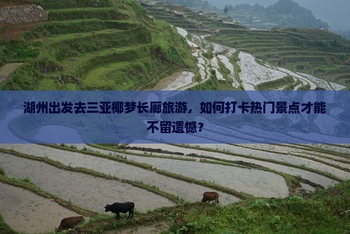 湖州出发去三亚椰梦长廊旅游，如何打卡热门景点才能不留遗憾？