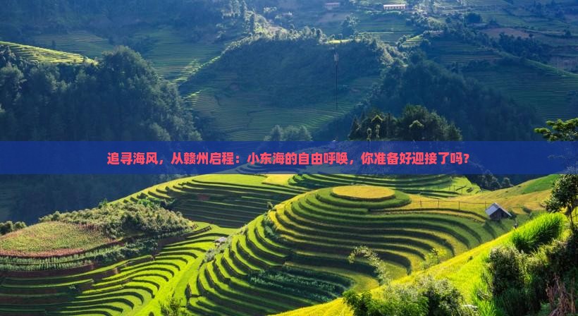 追寻海风，从赣州启程：小东海的自由呼唤，你准备好迎接了吗？