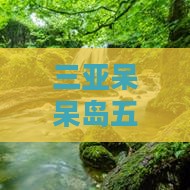 三亚呆呆岛五日游从金华出发