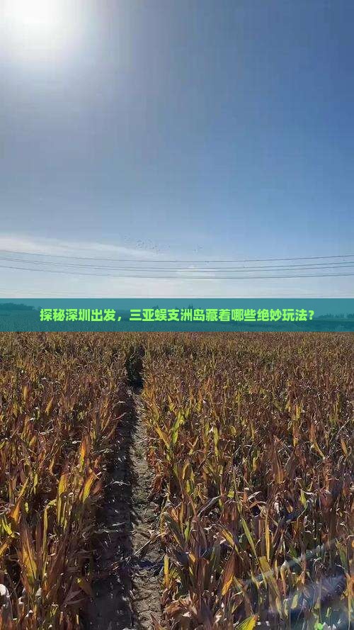 探秘深圳出发，三亚蜈支洲岛藏着哪些绝妙玩法？