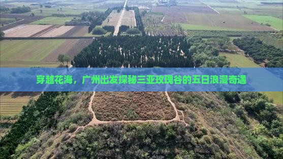 穿越花海，广州出发探秘三亚玫瑰谷的五日浪漫奇遇