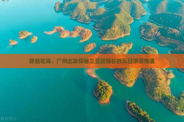 穿越花海，广州出发探秘三亚玫瑰谷的五日浪漫奇遇