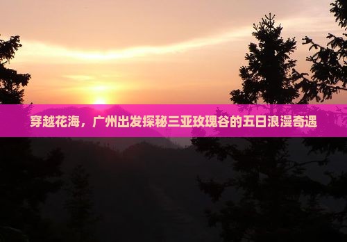 穿越花海，广州出发探秘三亚玫瑰谷的五日浪漫奇遇