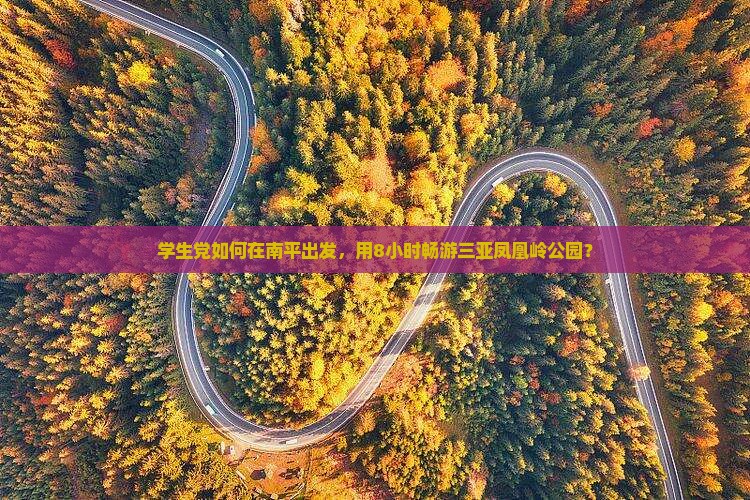 学生党如何在南平出发，用8小时畅游三亚凤凰岭公园？