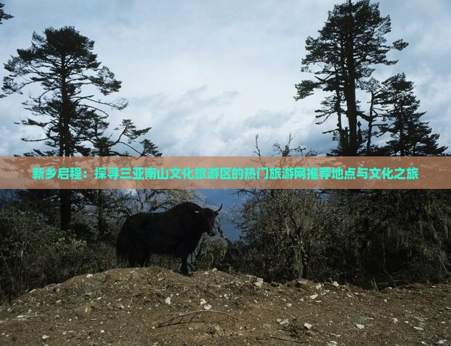 新乡启程：探寻三亚南山文化旅游区的热门旅游网推荐地点与文化之旅