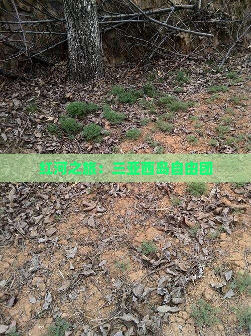 红河之旅：三亚西岛自由团