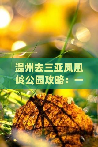 温州去三亚凤凰岭公园攻略：一日游路线指南