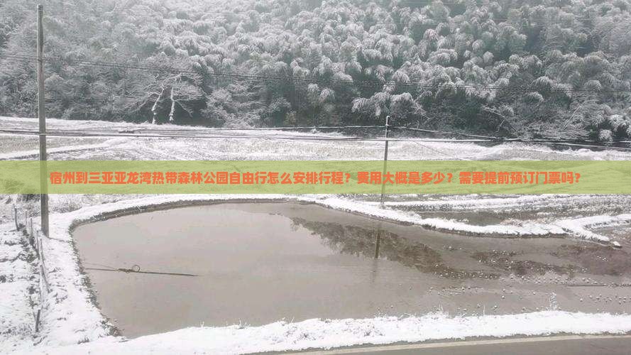 宿州到三亚亚龙湾热带森林公园自由行怎么安排行程？费用大概是多少？需要提前预订门票吗？