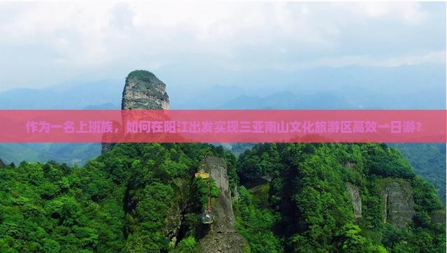 作为一名上班族，如何在阳江出发实现三亚南山文化旅游区高效一日游？