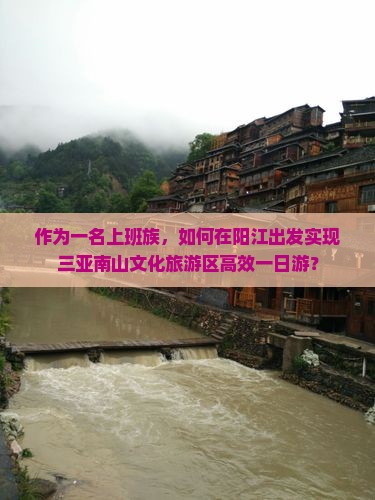 作为一名上班族，如何在阳江出发实现三亚南山文化旅游区高效一日游？