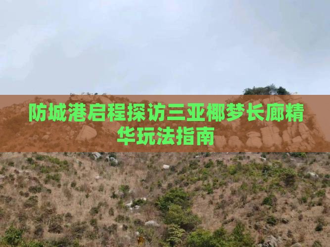 防城港启程探访三亚椰梦长廊精华玩法指南