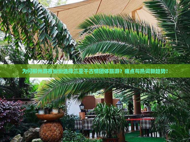 为何柳州游客纷纷选择三亚千古情团体旅游？痛点与热词新趋势！
