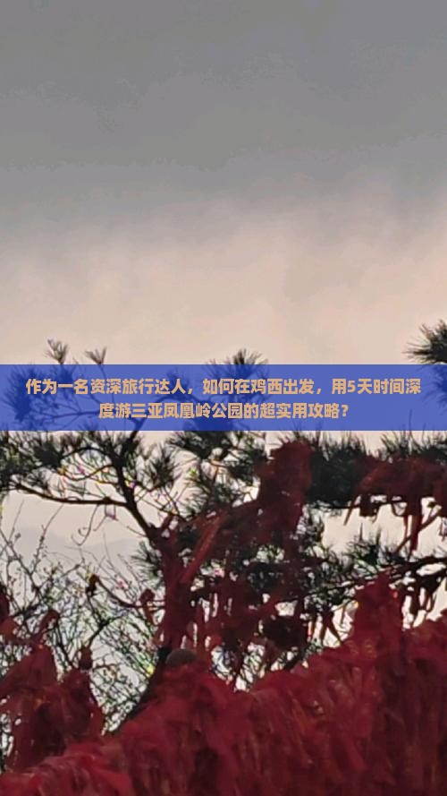 作为一名资深旅行达人，如何在鸡西出发，用5天时间深度游三亚凤凰岭公园的超实用攻略？