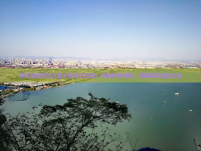 呼和浩特前往三亚大东海三日游：探秘热带风情，领略椰风海韵之旅