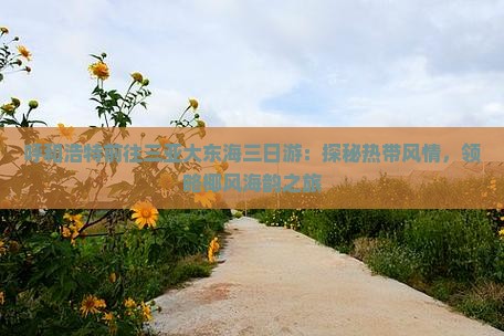 呼和浩特前往三亚大东海三日游：探秘热带风情，领略椰风海韵之旅