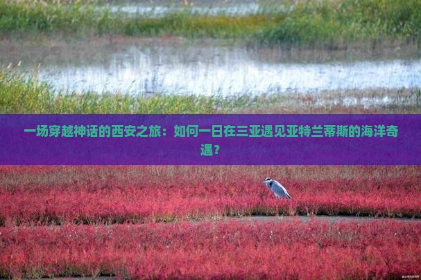 一场穿越神话的西安之旅：如何一日在三亚遇见亚特兰蒂斯的海洋奇遇？