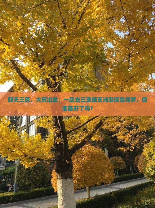 四天三夜，大庆出发，一起去三亚蜈支洲岛探险寻梦，你准备好了吗？