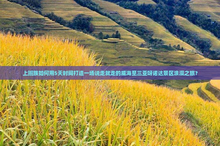 上班族如何用5天时间打造一场说走就走的威海至三亚呀诺达景区浪漫之旅？