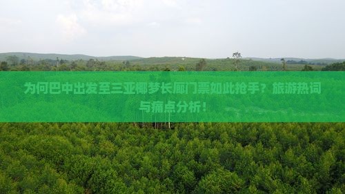 为何巴中出发至三亚椰梦长廊门票如此抢手？旅游热词与痛点分析！