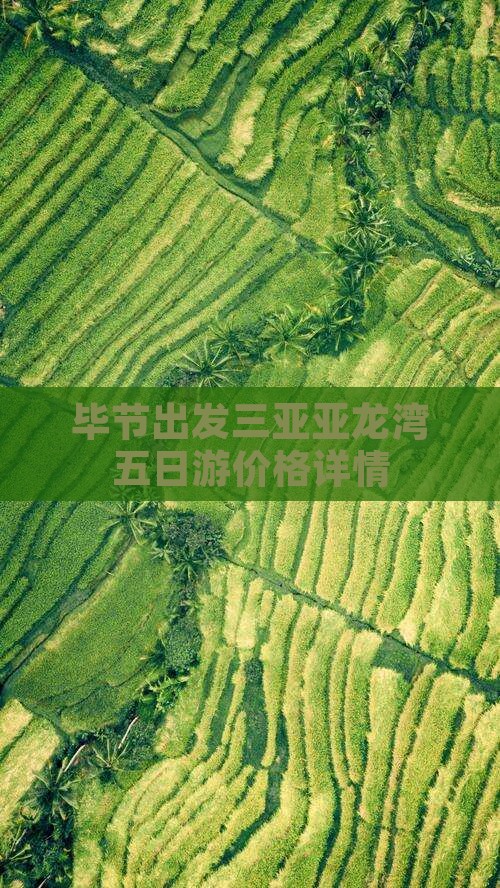 毕节出发三亚亚龙湾五日游价格详情