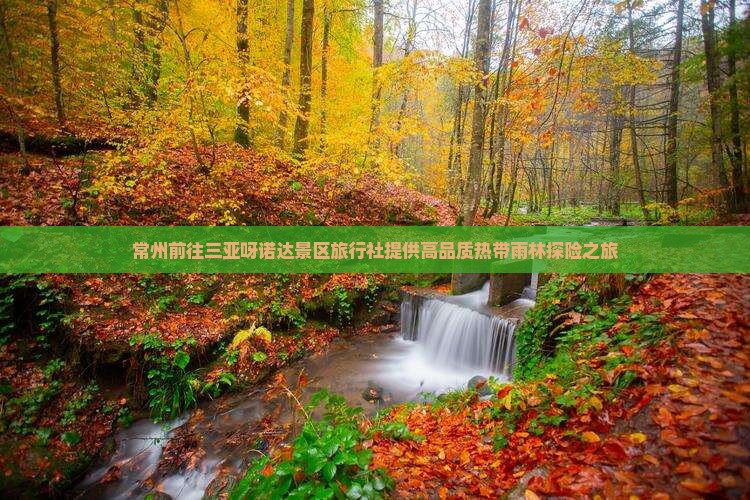 常州前往三亚呀诺达景区旅行社提供高品质热带雨林探险之旅