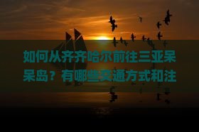 如何从齐齐哈尔前往三亚呆呆岛？有哪些交通方式和注意事项？
