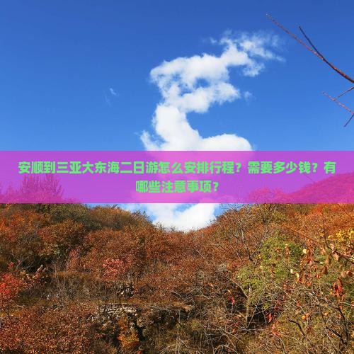 安顺到三亚大东海二日游怎么安排行程？需要多少钱？有哪些注意事项？