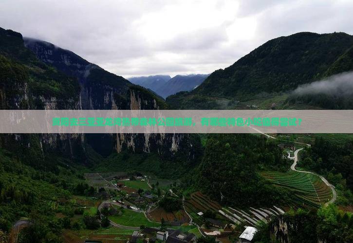 资阳去三亚亚龙湾热带森林公园旅游，有哪些特色小吃值得尝试？
