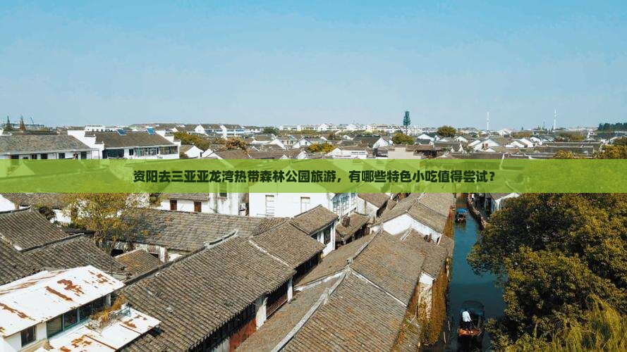 资阳去三亚亚龙湾热带森林公园旅游，有哪些特色小吃值得尝试？