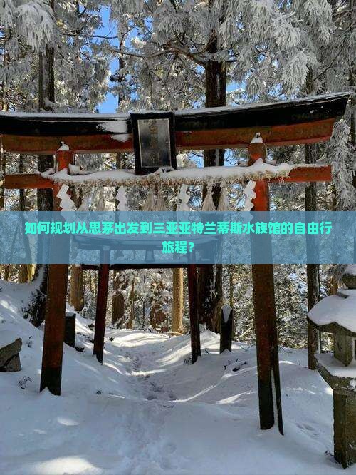 如何规划从思茅出发到三亚亚特兰蒂斯水族馆的自由行旅程？