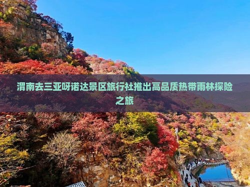 渭南去三亚呀诺达景区旅行社推出高品质热带雨林探险之旅