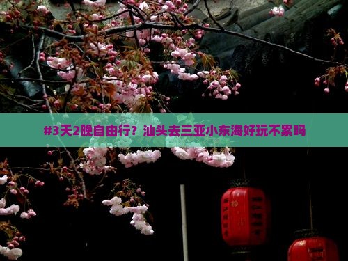 #3天2晚自由行？汕头去三亚小东海好玩不累吗
