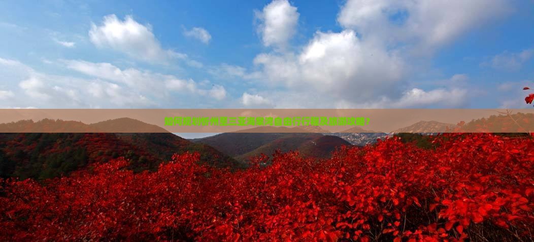 如何规划忻州至三亚海棠湾自由行行程及旅游攻略？