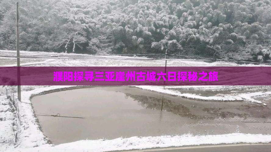 濮阳探寻三亚崖州古城六日探秘之旅