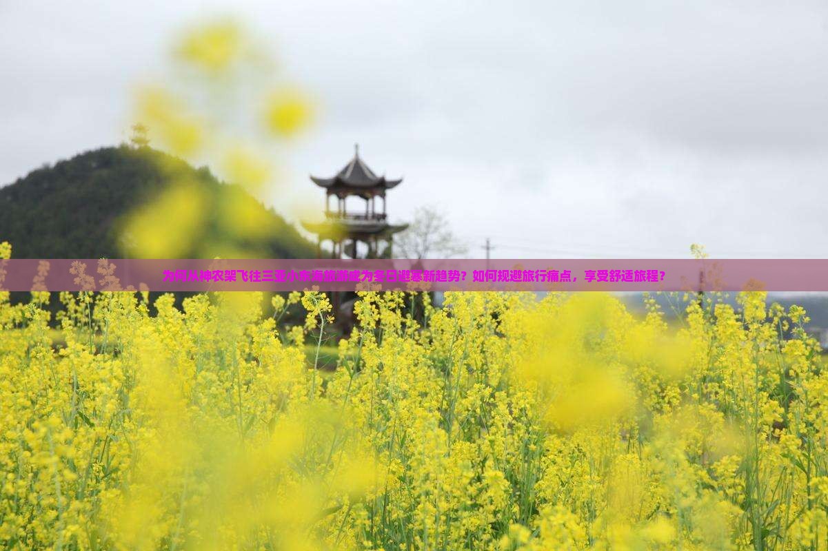 为何从神农架飞往三亚小东海旅游成为冬日避寒新趋势？如何规避旅行痛点，享受舒适旅程？