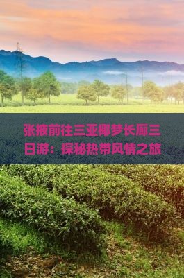 张掖前往三亚椰梦长廊三日游：探秘热带风情之旅