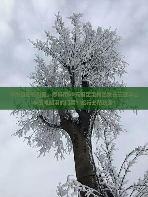 作为自由行游客，怎样用50元搞定沧州出发去三亚半山半岛帆船港的门票？旅行必备攻略！