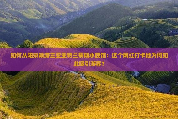 如何从阳泉畅游三亚亚特兰蒂斯水族馆：这个网红打卡地为何如此吸引游客？