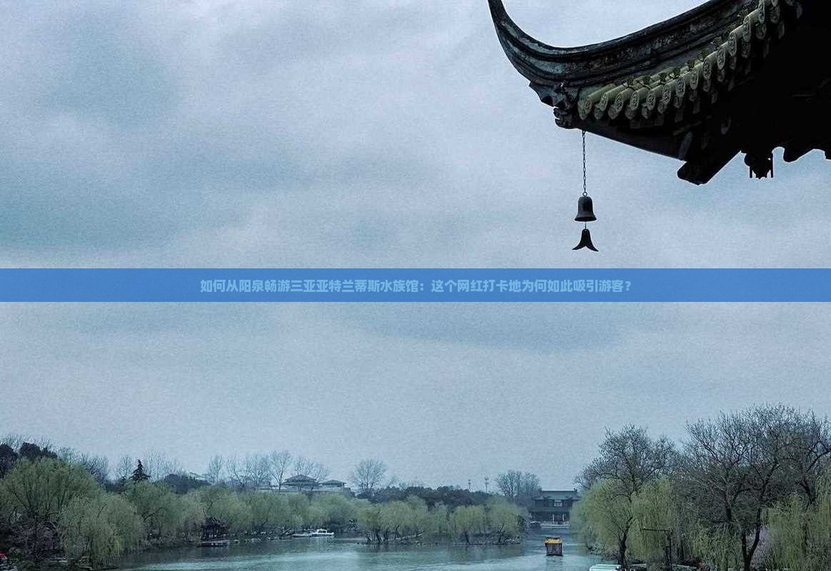 如何从阳泉畅游三亚亚特兰蒂斯水族馆：这个网红打卡地为何如此吸引游客？