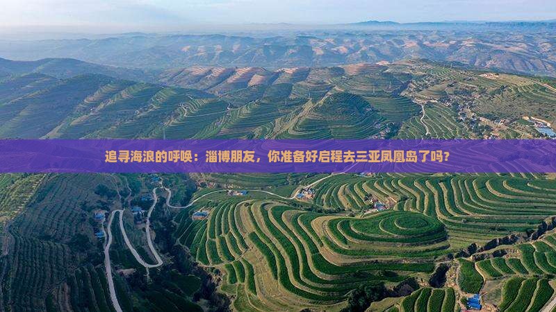 追寻海浪的呼唤：淄博朋友，你准备好启程去三亚凤凰岛了吗？
